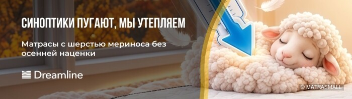 Dreamline-акции