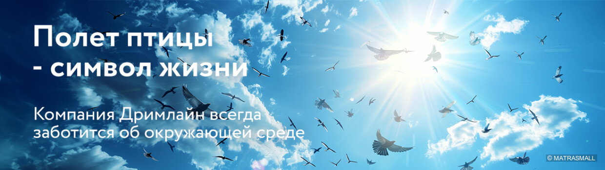 Dreamline - Чистая планета