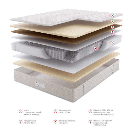 Матрас Dream Master Орто 5 UP