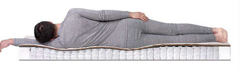 Матрас Dreamline Pioria