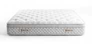 Матрас Mr.Mattress BioGold Mousse