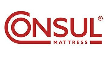 Логотип Consul